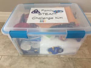 STEM Gift: STEM STEAM Family Challenge box