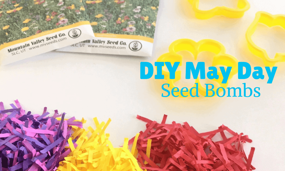 DIY May Day Gift seed bombs DIY Seed bombs