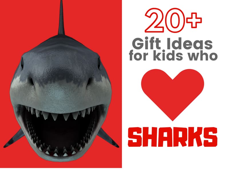 Gift ideas for kids who love sharks