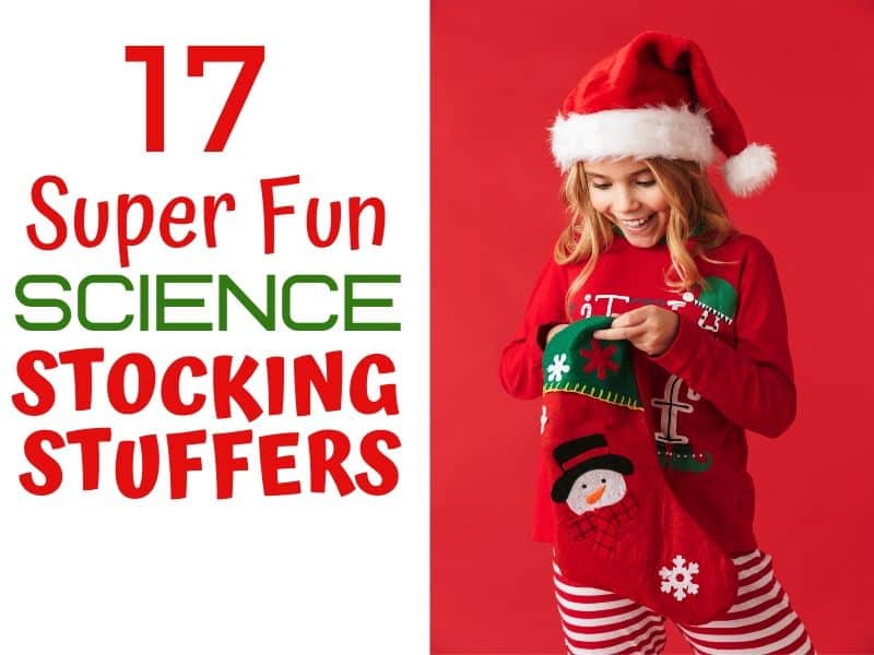 science stocking stuffer
